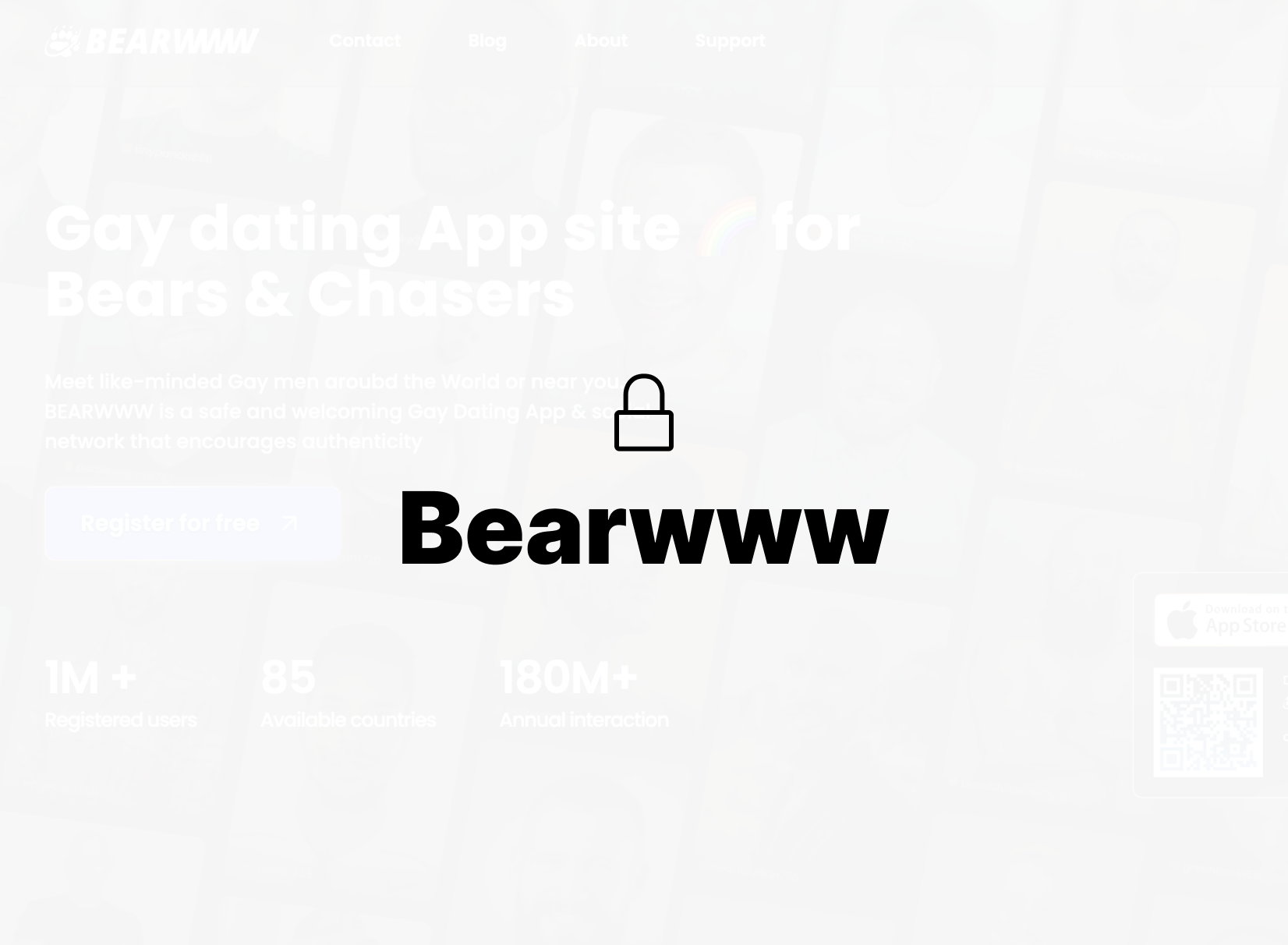 bear